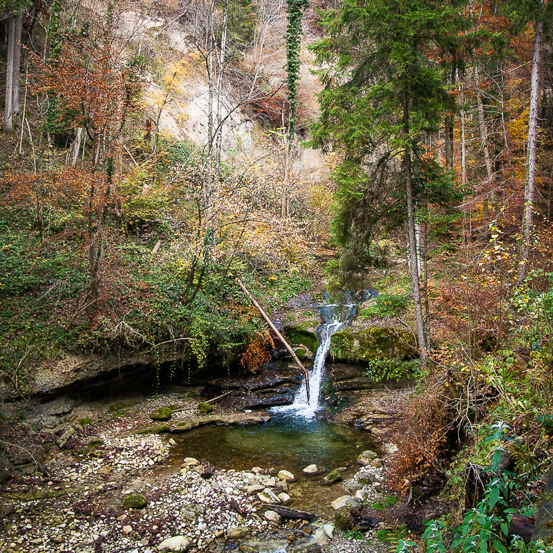 Wasser im Wald (Farbe)