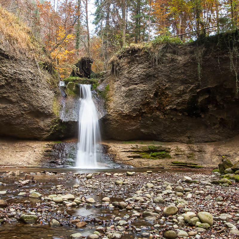 Wasser im Wald (Farbe)