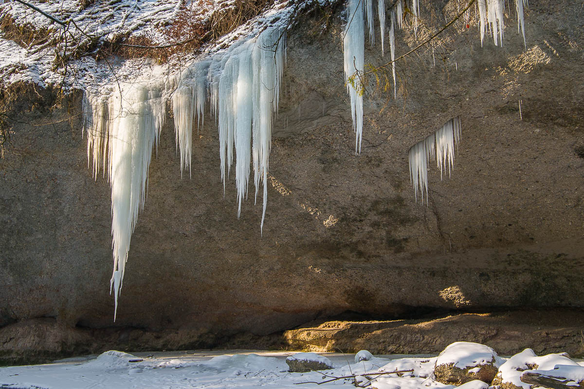 Wasser im Wald (Farbe)