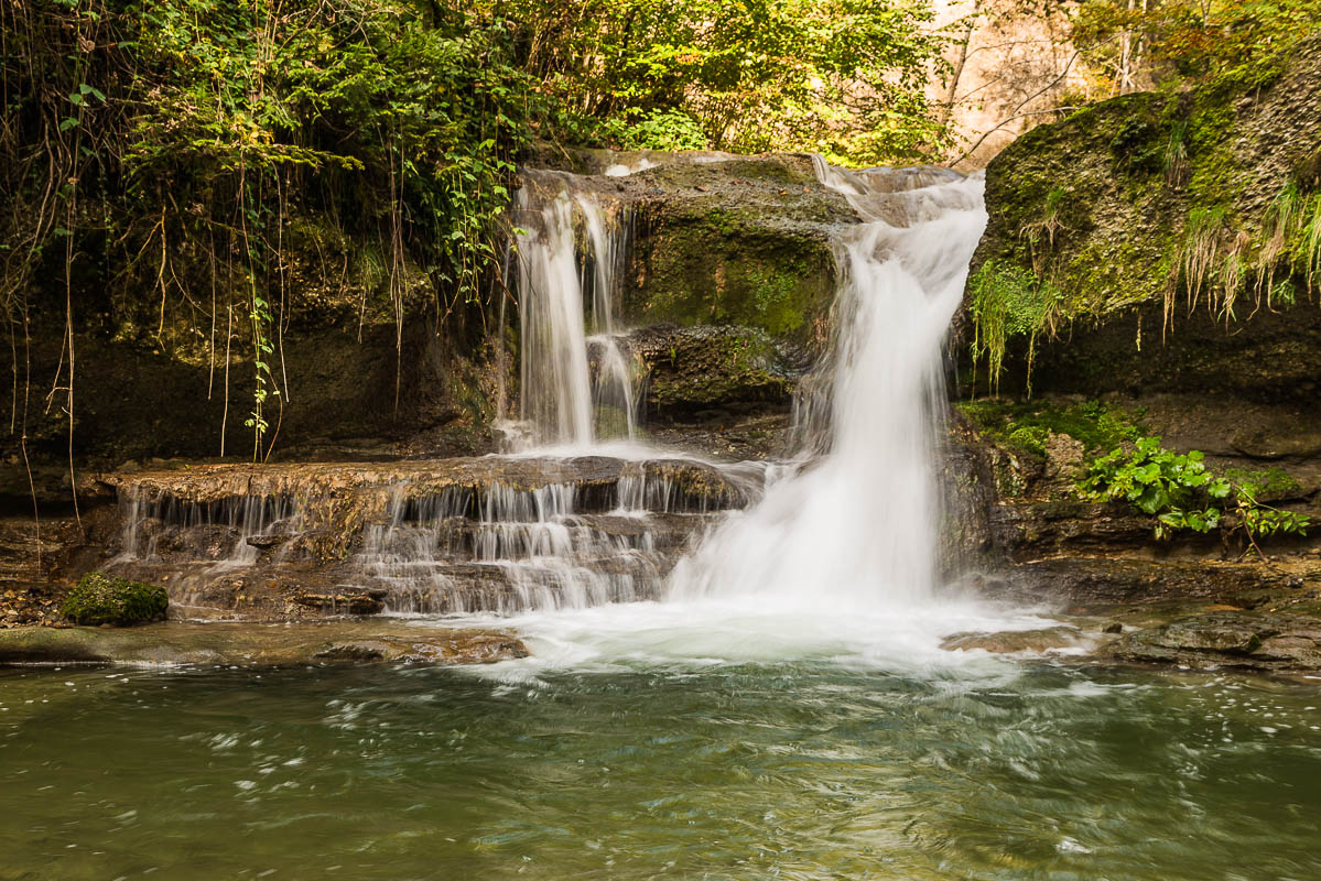Wasser im Wald (Farbe)