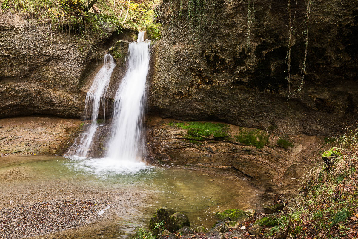 Wasser im Wald (Farbe)