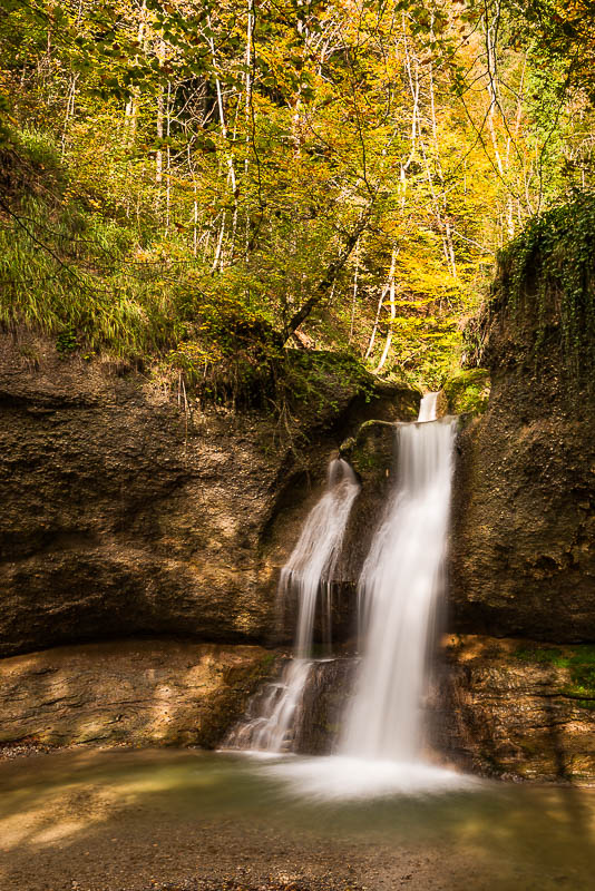 Wasser im Wald (Farbe)