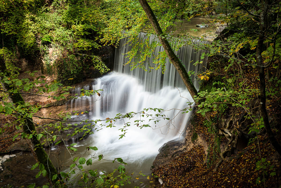 Wasser im Wald (Farbe)