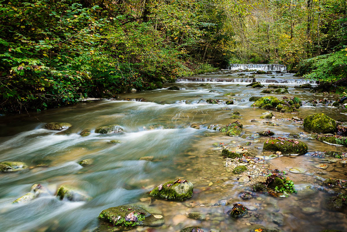 Wasser im Wald (Farbe)
