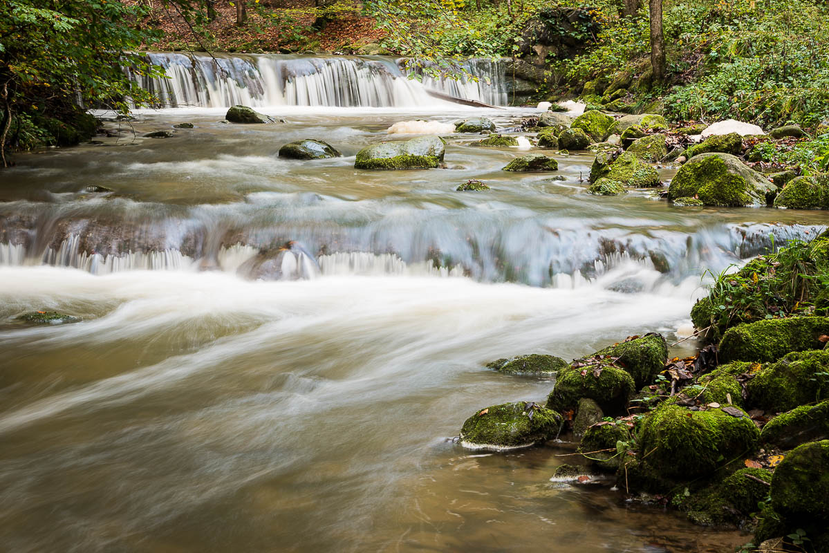 Wasser im Wald (Farbe)