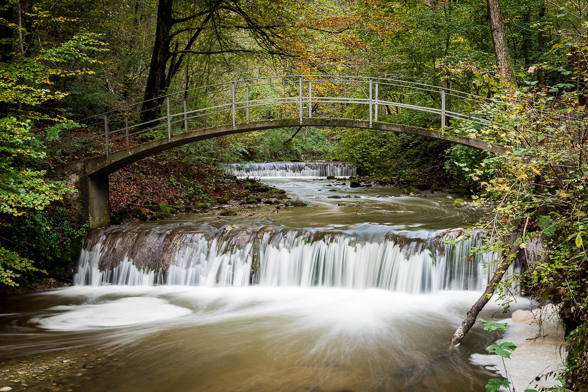 Wasser im Wald (Farbe)