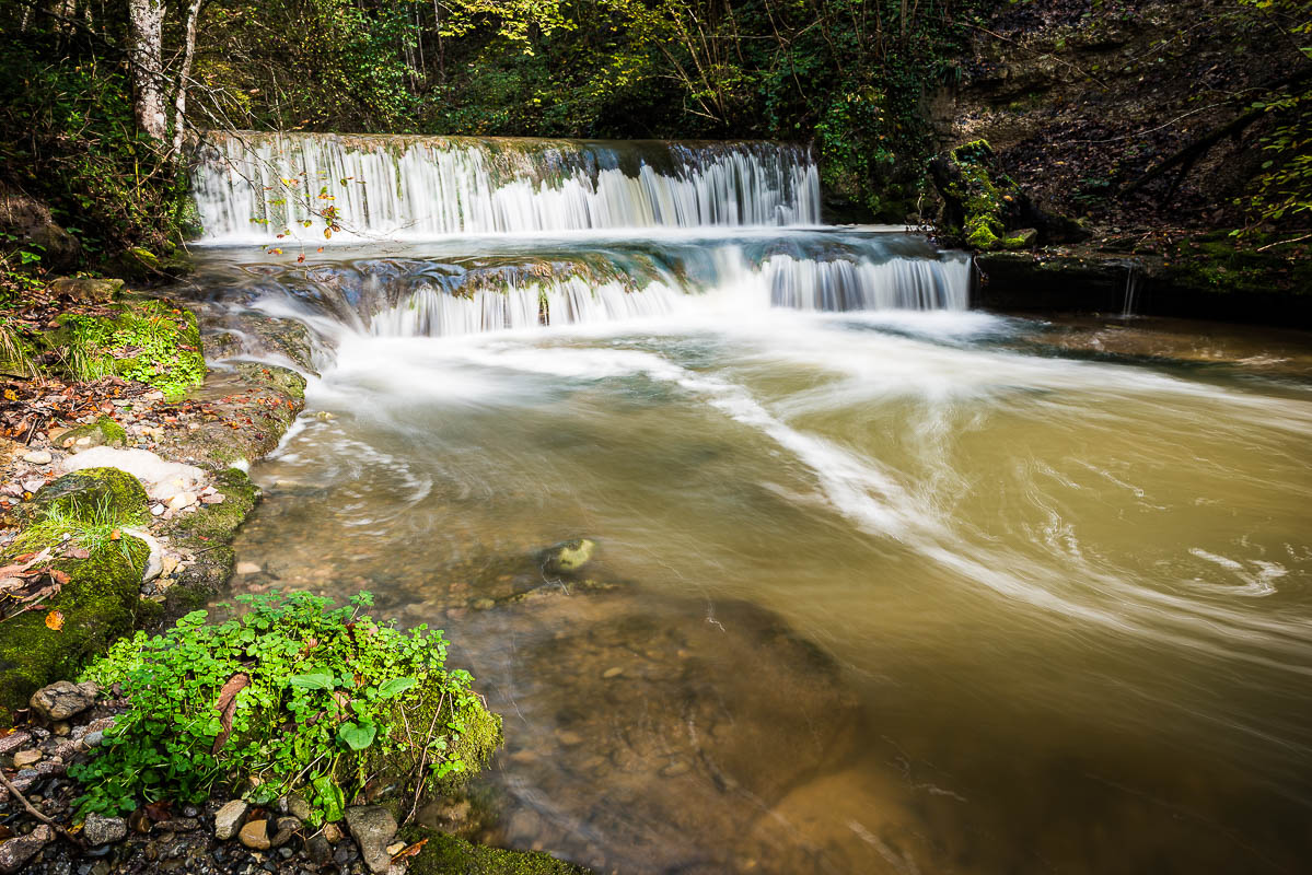 Wasser im Wald (Farbe)