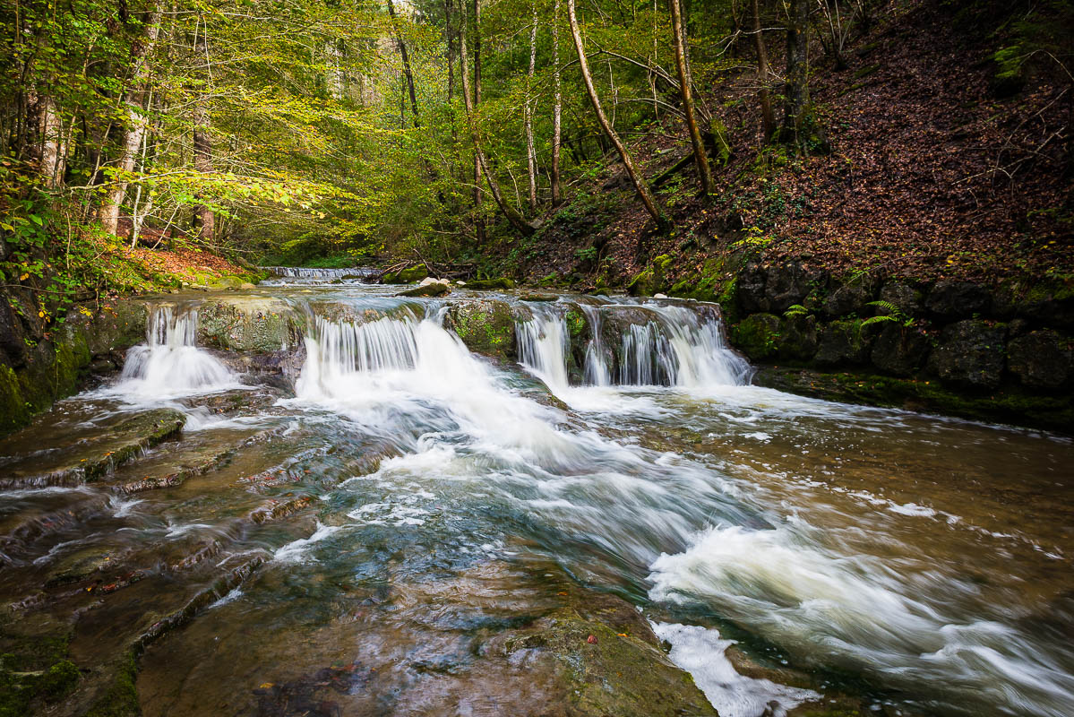 Wasser im Wald (Farbe)