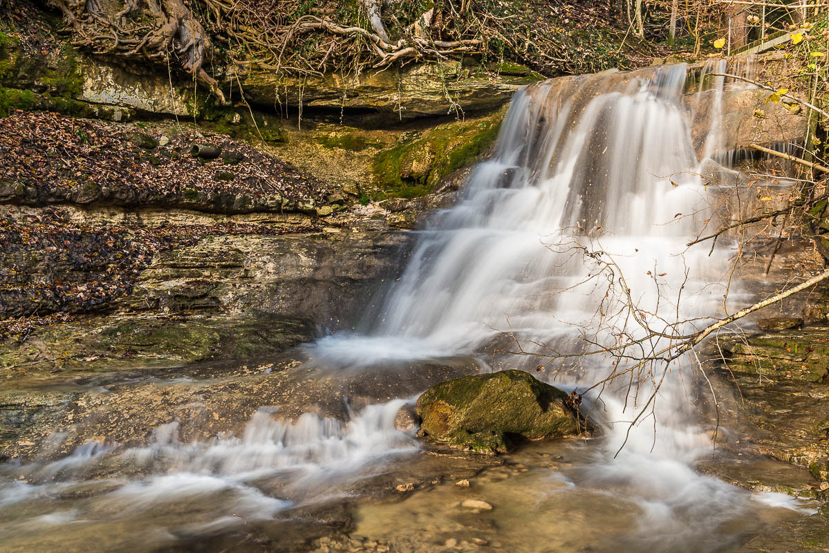 Wasser im Wald (Farbe)