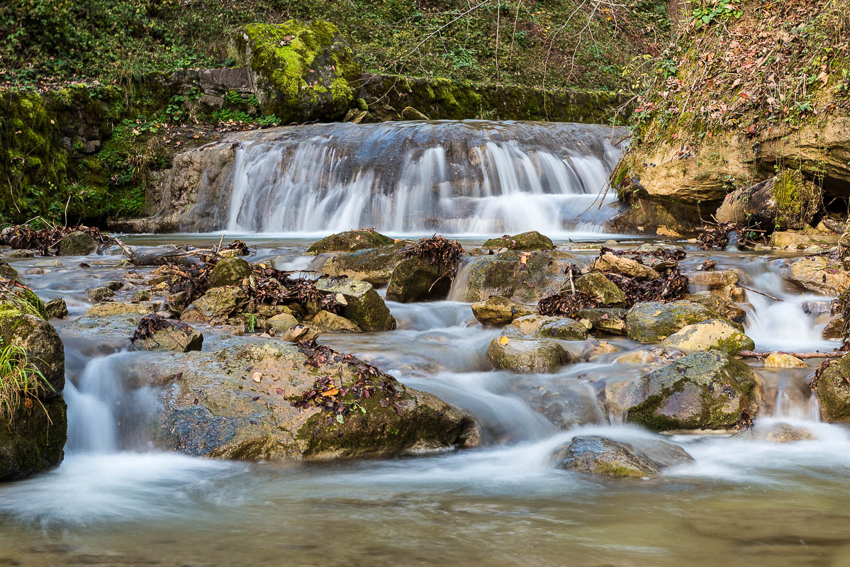 Wasser im Wald (Farbe)