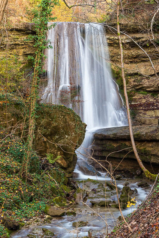 Wasser im Wald (Farbe)
