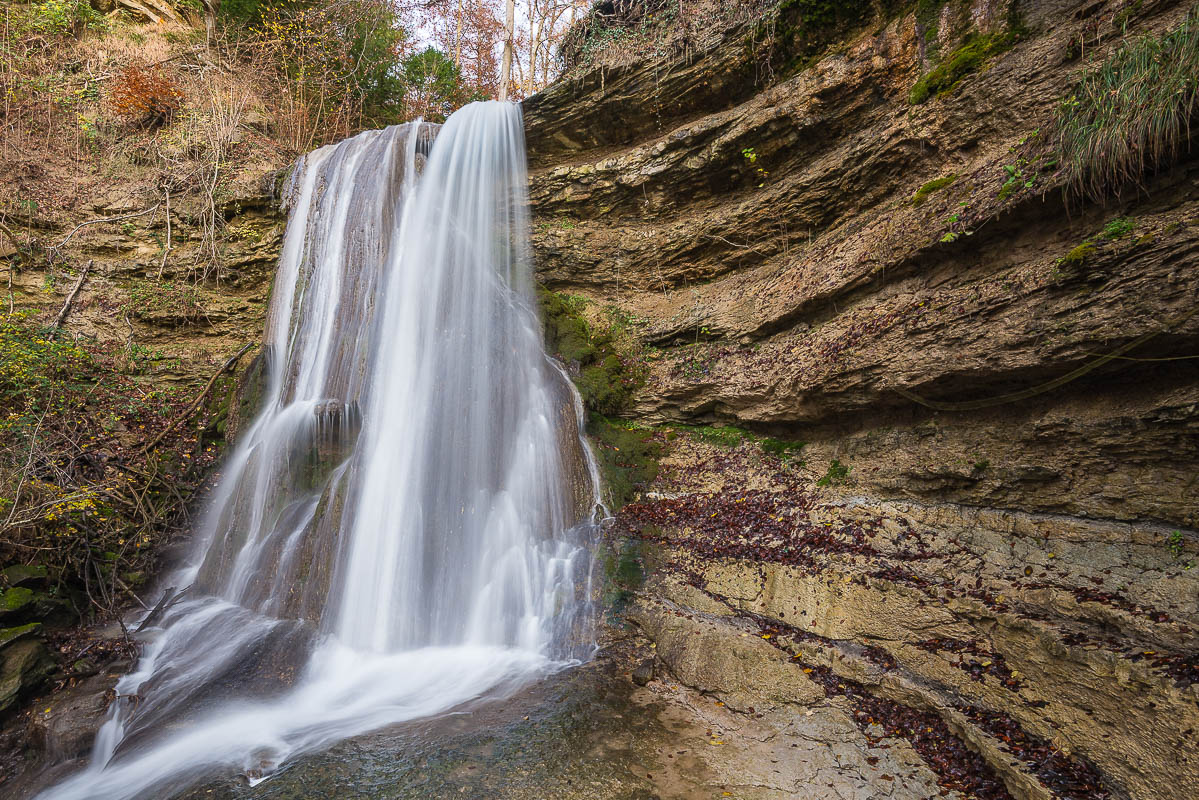 Wasser im Wald (Farbe)