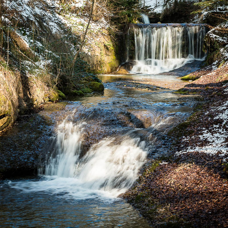 Wasser im Wald (Farbe)