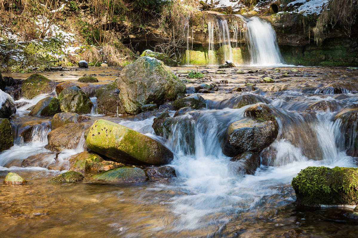 Wasser im Wald (Farbe)