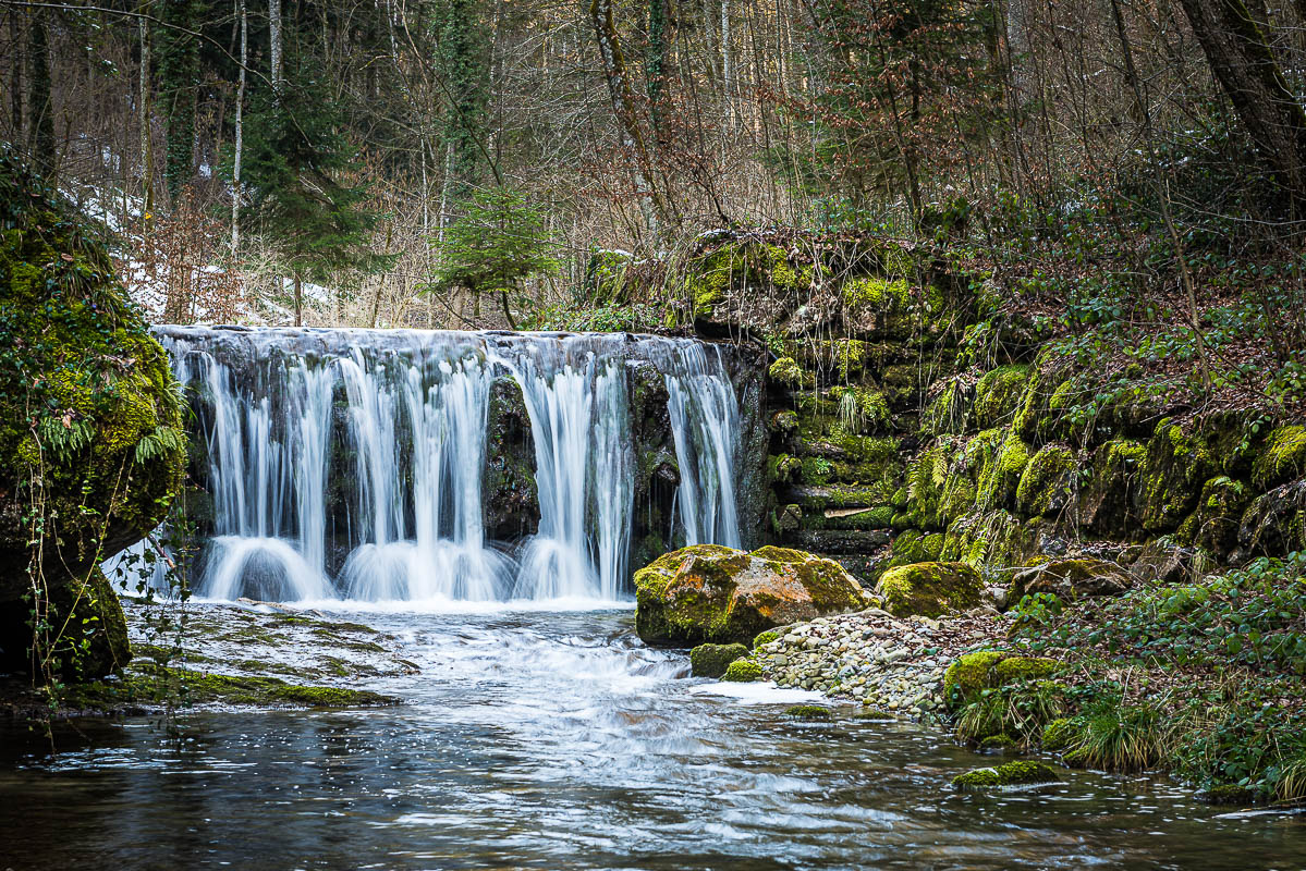 Wasser im Wald (Farbe)