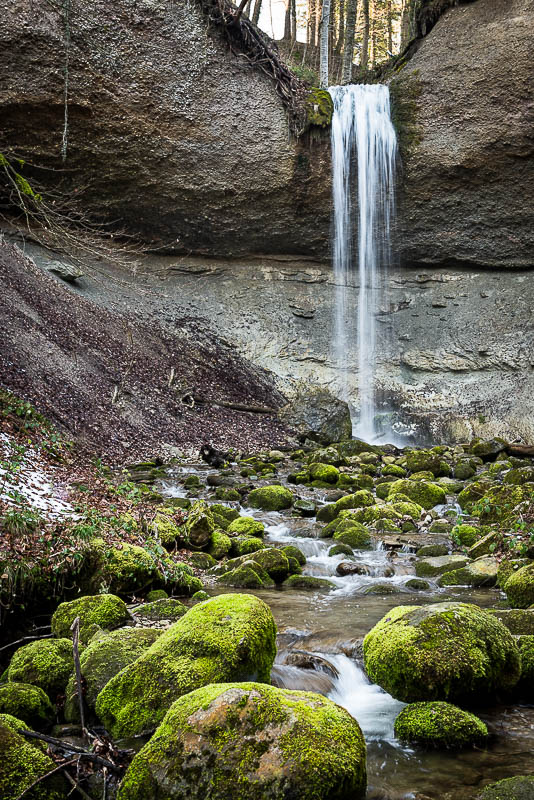 Wasser im Wald (Farbe)