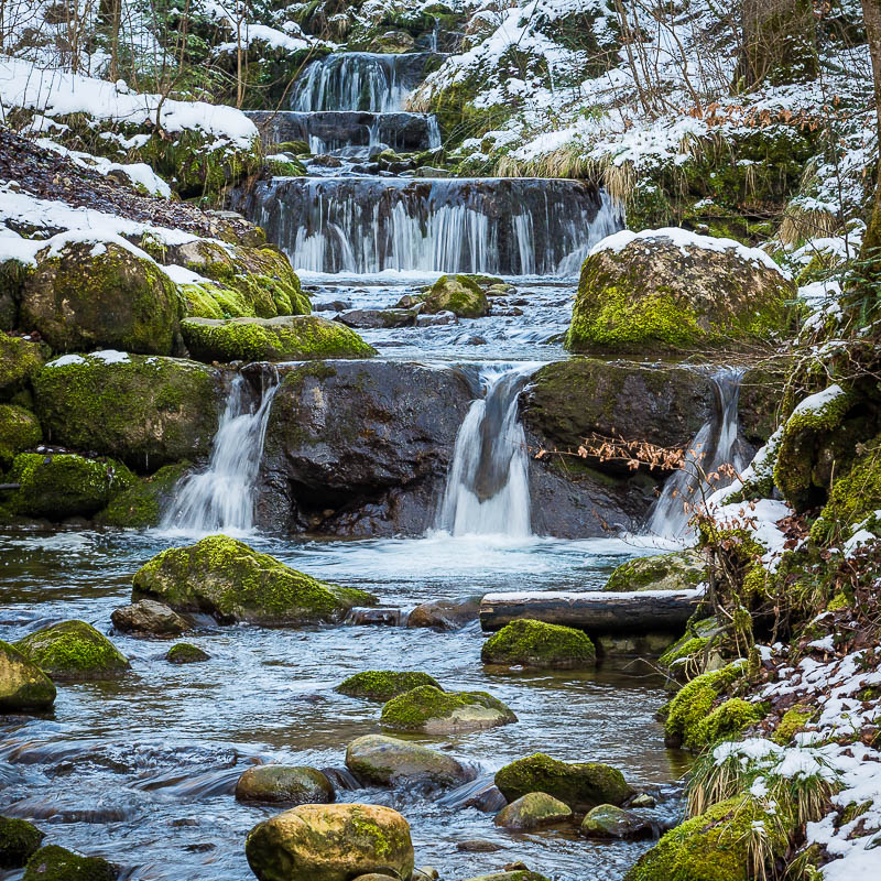 Wasser im Wald (Farbe)