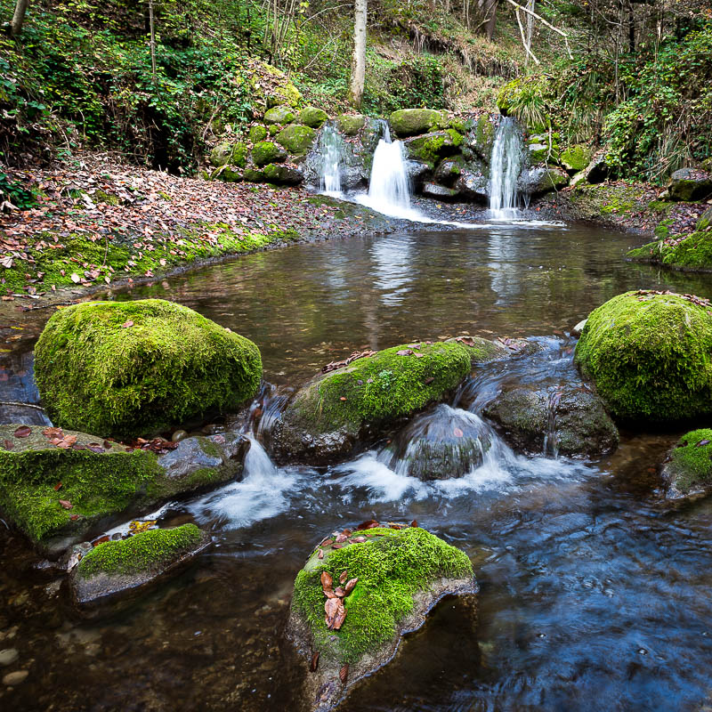 Wasser im Wald (Farbe)