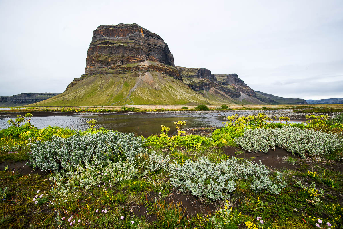 Island 2013 - Summit