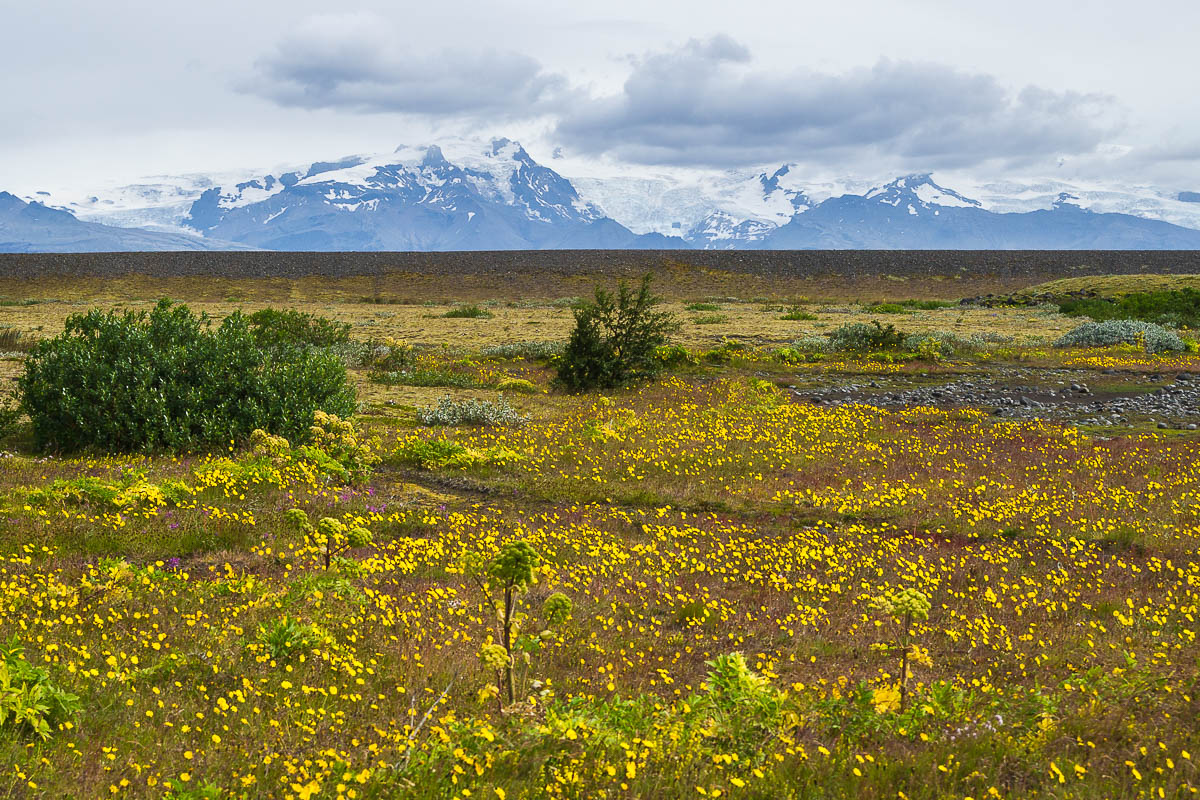 Island 2013 - Summit