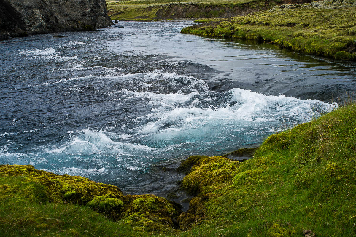 Island 2013 - Sydnofaera