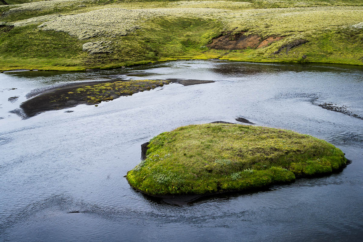 Island 2013 - Sydnofaera