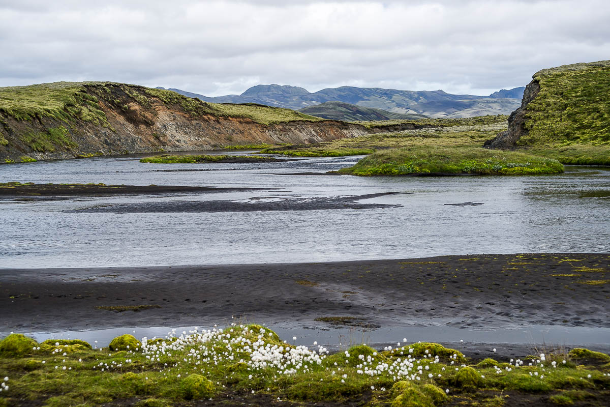 Island 2013 - Sydnofaera