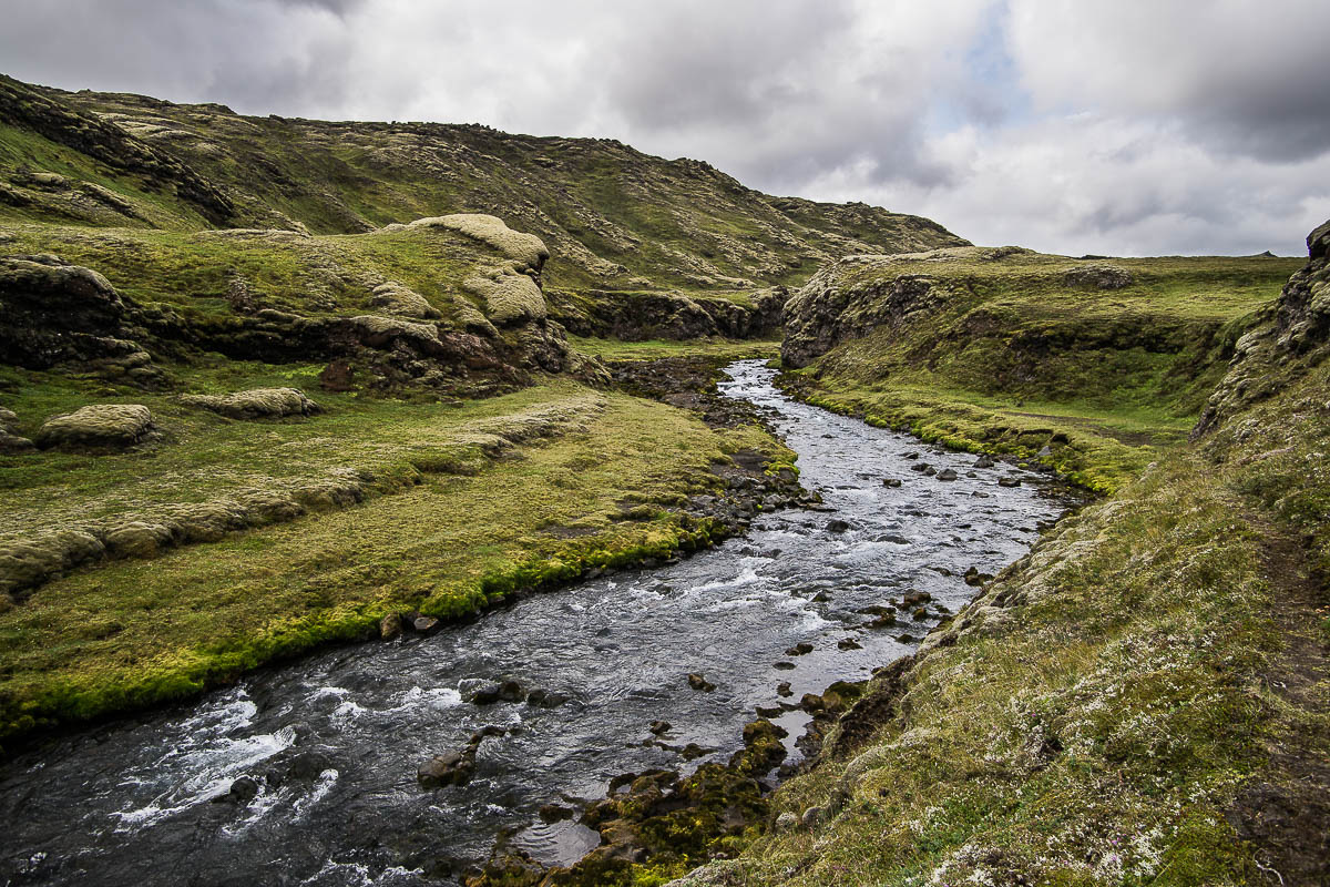 Island 2013 - Stranggakfisl