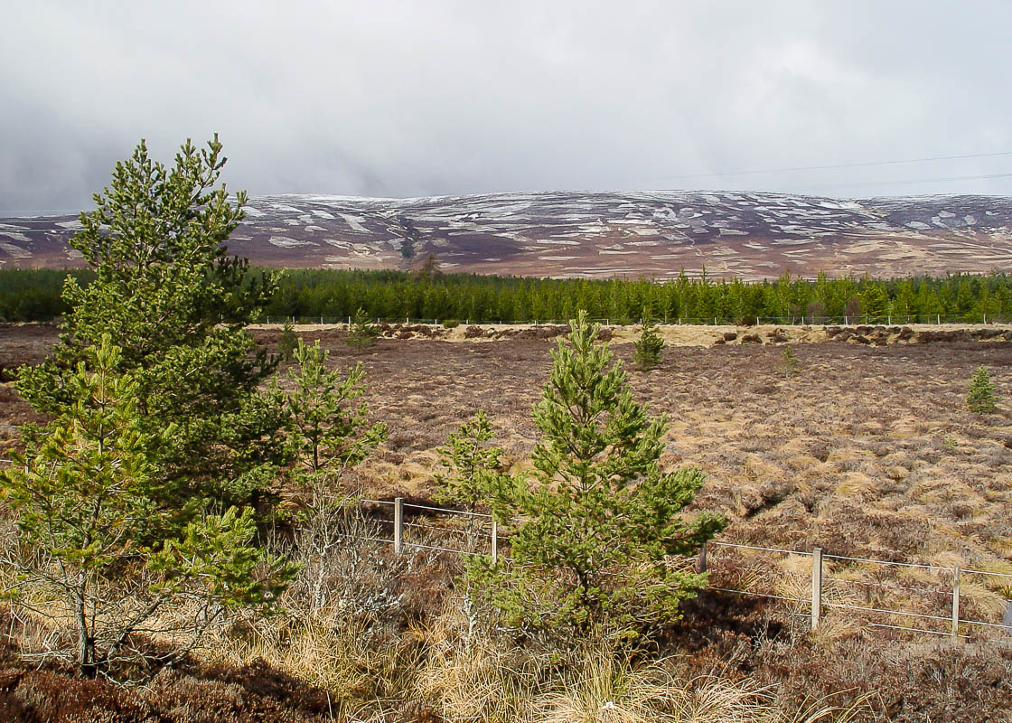 2004 Schottlandrundreise