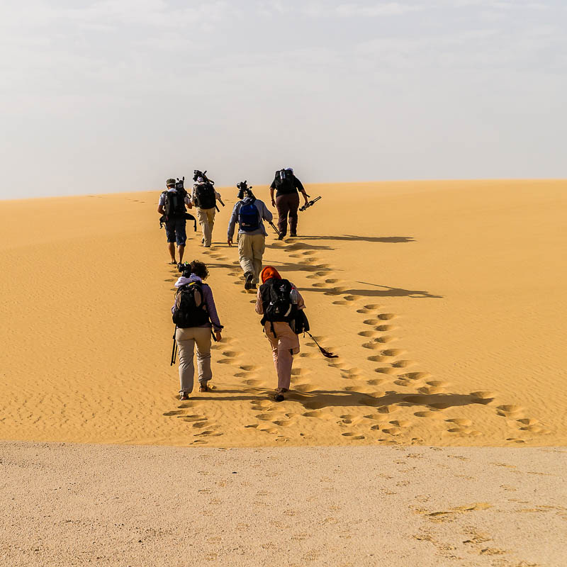 Die Weisse Wüste 2010 - Tag 3
