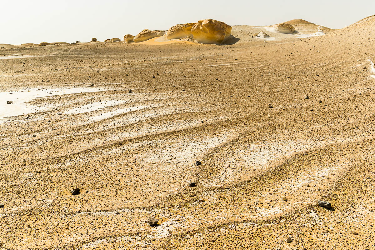 Die Weisse Wüste 2010 - Tag 4