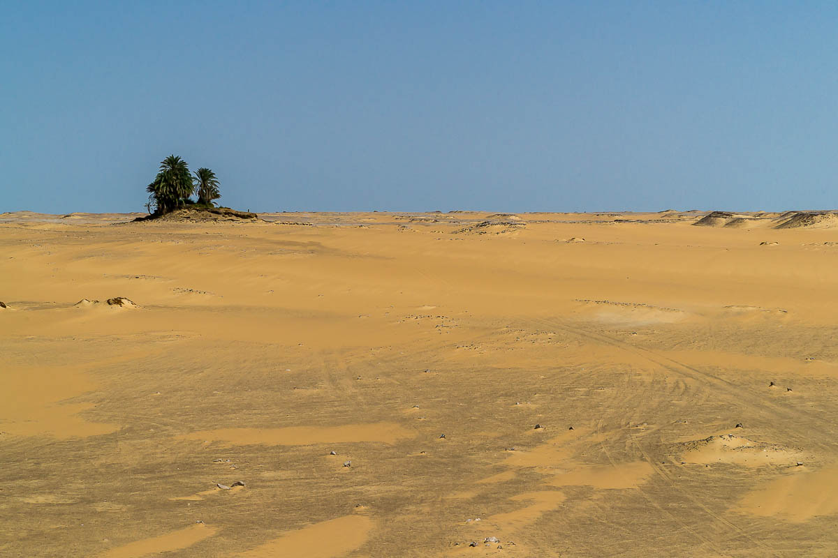 Die Weisse Wüste 2010 - Tag 4
