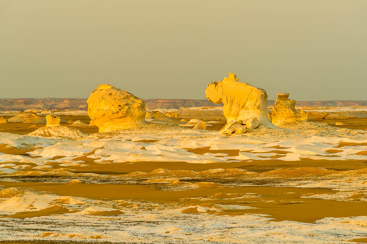 Die Weisse Wüste 2010 - Tag 4
