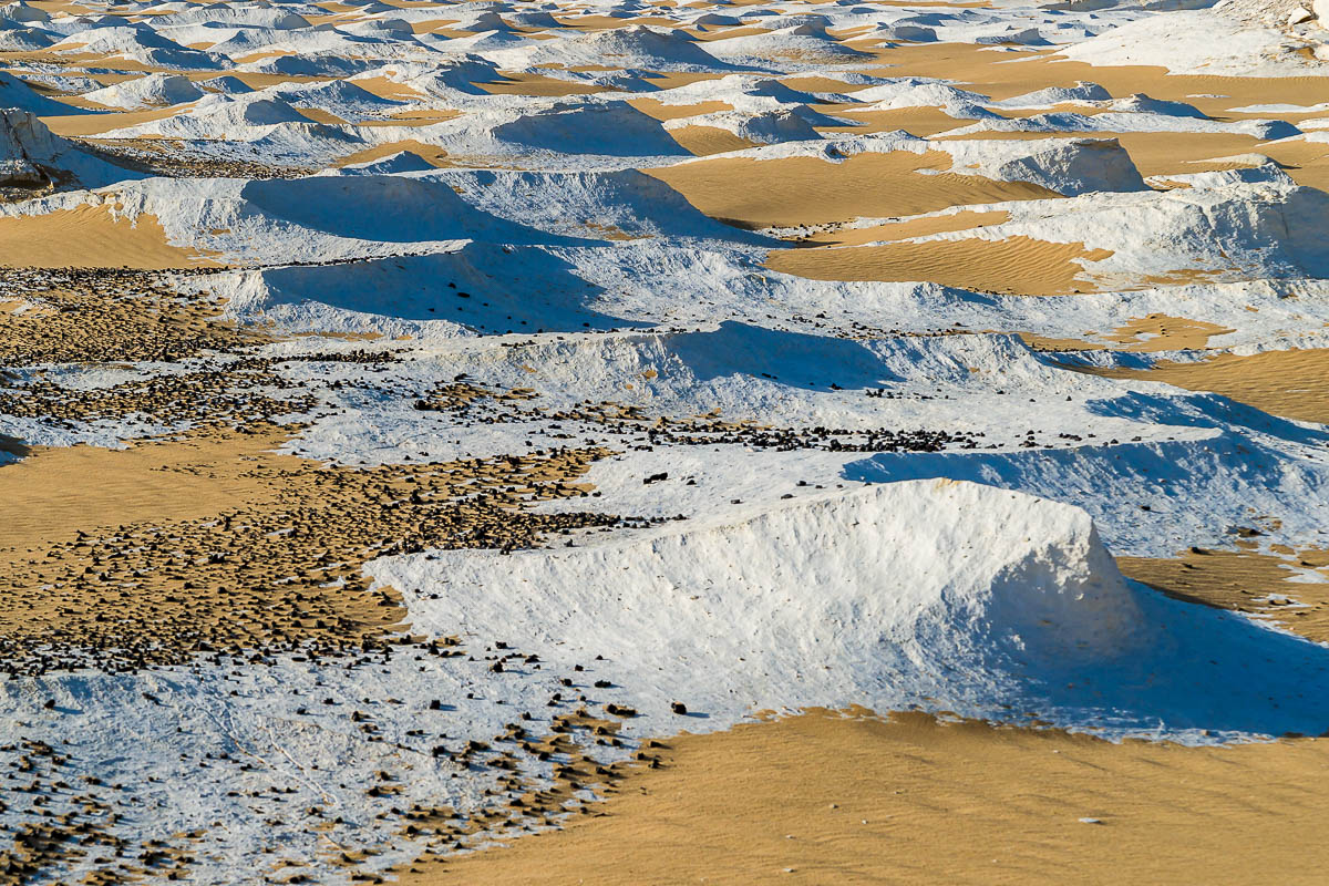 Die Weisse Wüste 2010 – Tag 5