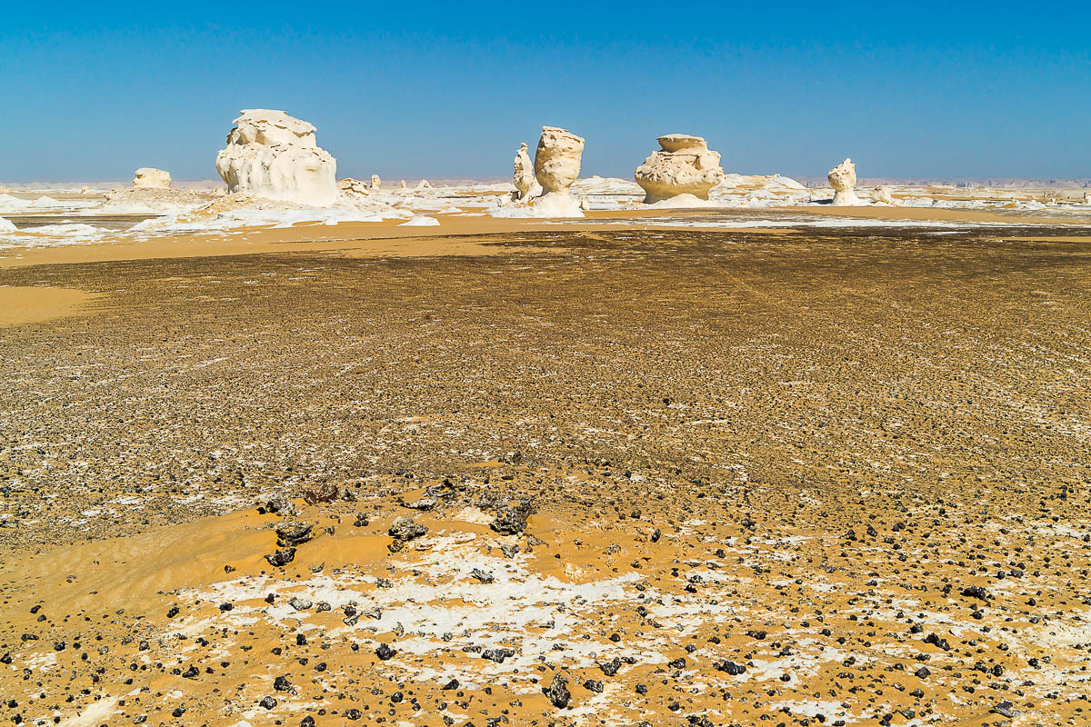 Die Weisse Wüste 2010 – Tag 5