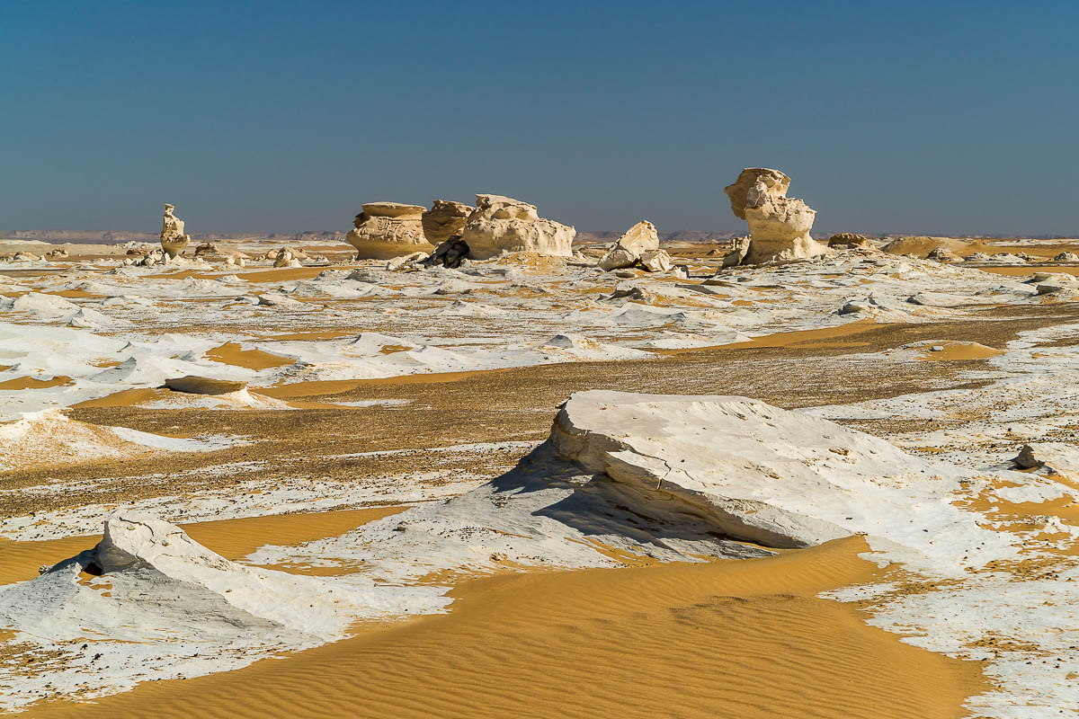 Die Weisse Wüste 2010 – Tag 5