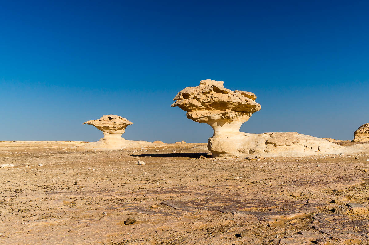 Die Weisse Wüste 2010 – Tag 5