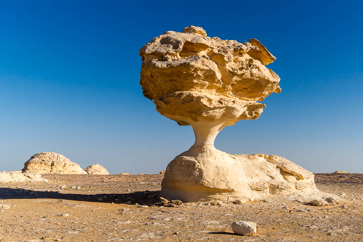 Die Weisse Wüste 2010 – Tag 5