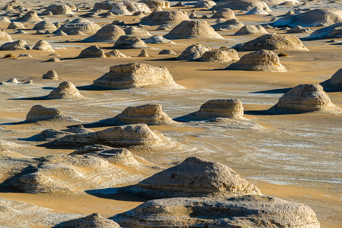 Die Weisse Wüste 2010 – Tag 5