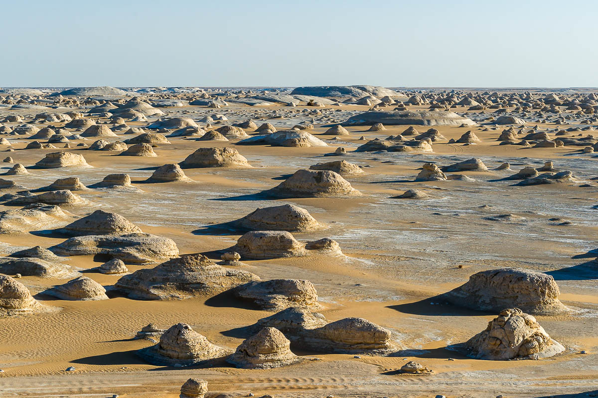 Die Weisse Wüste 2010 – Tag 5