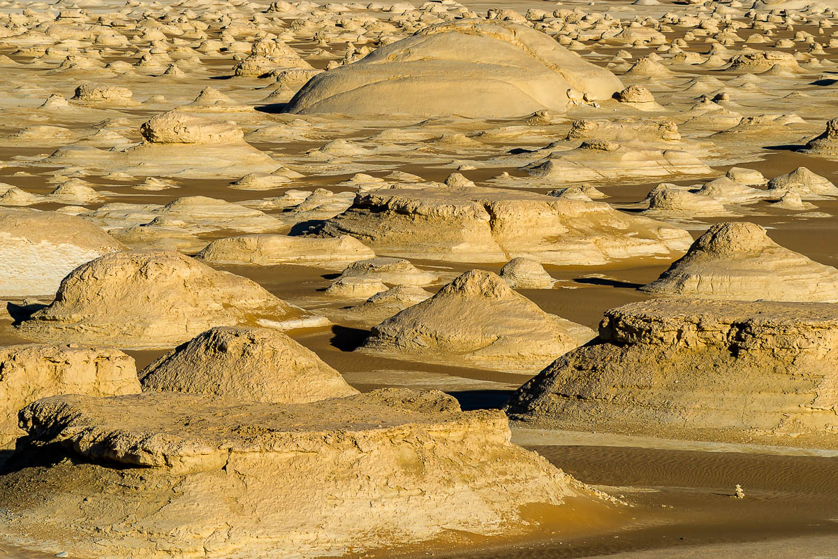 Die Weisse Wüste 2010 – Tag 5