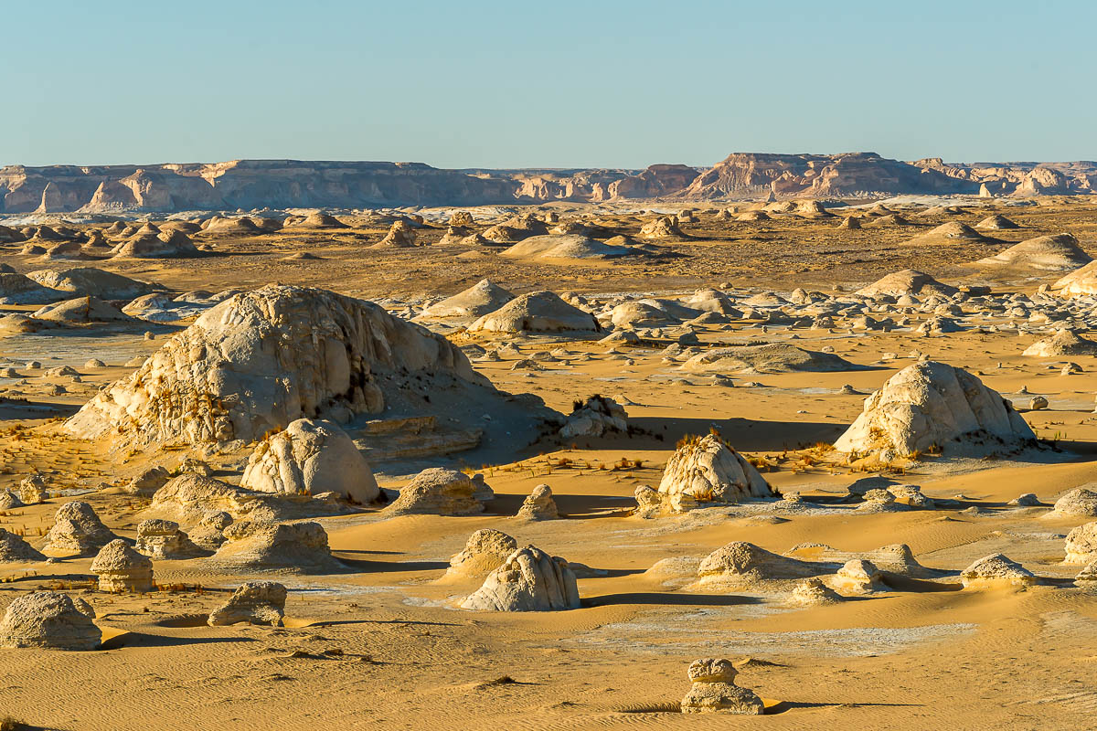 Die Weisse Wüste 2010 – Tag 5