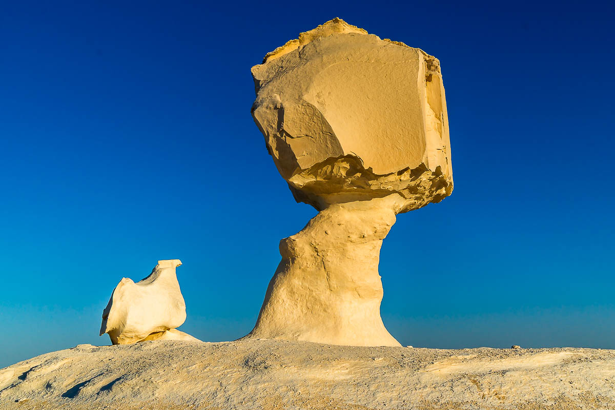 Die Weisse Wüste 2010 – Tag 5