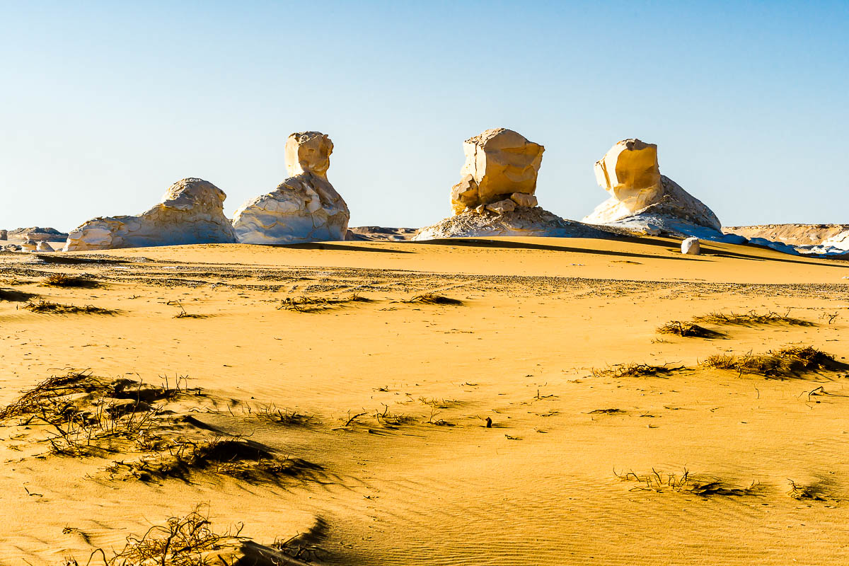 Die Weisse Wüste 2010 - Tag 7