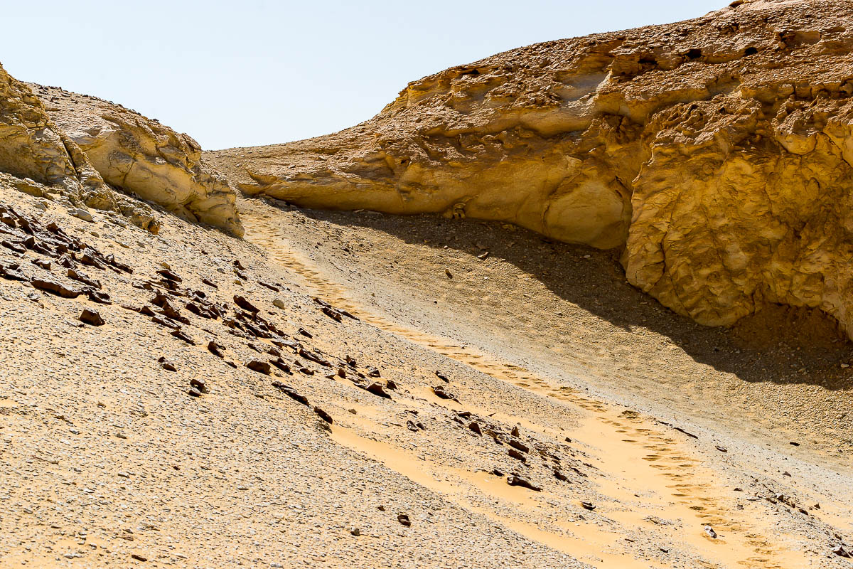 Die Weisse Wüste 2010 - Tag 7