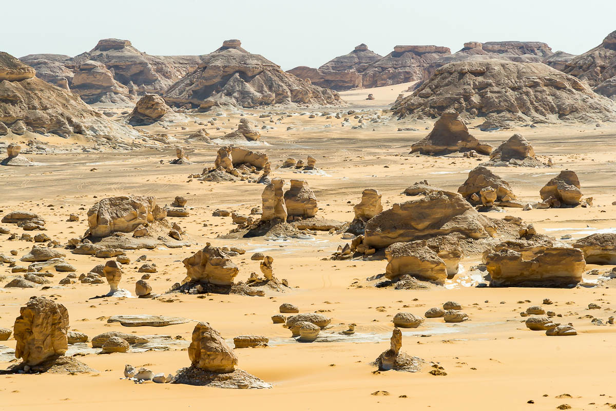 Die Weisse Wüste 2010 - Tag 7