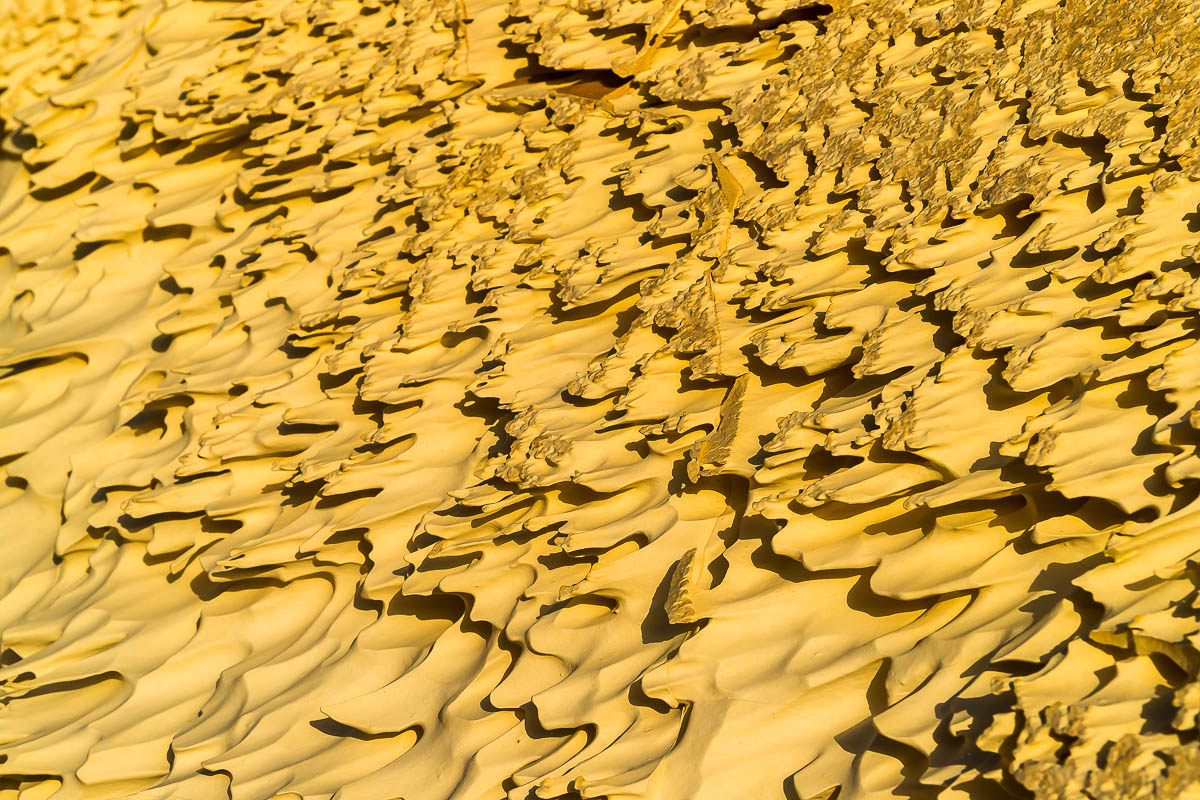 Die Weisse Wüste 2010 - Tag 7