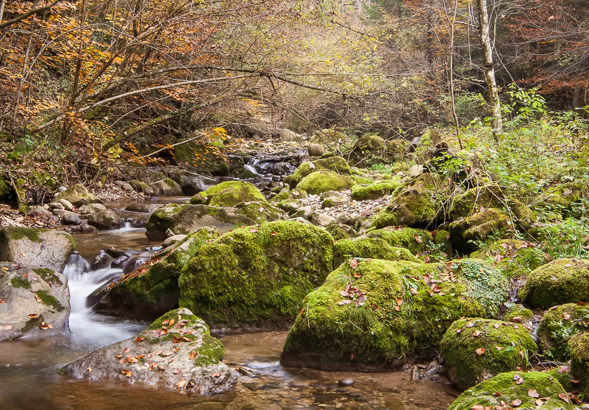 Kemptner Tobel im Herbst