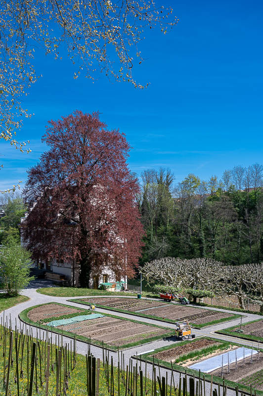 Kloster Wettingen Umgebung