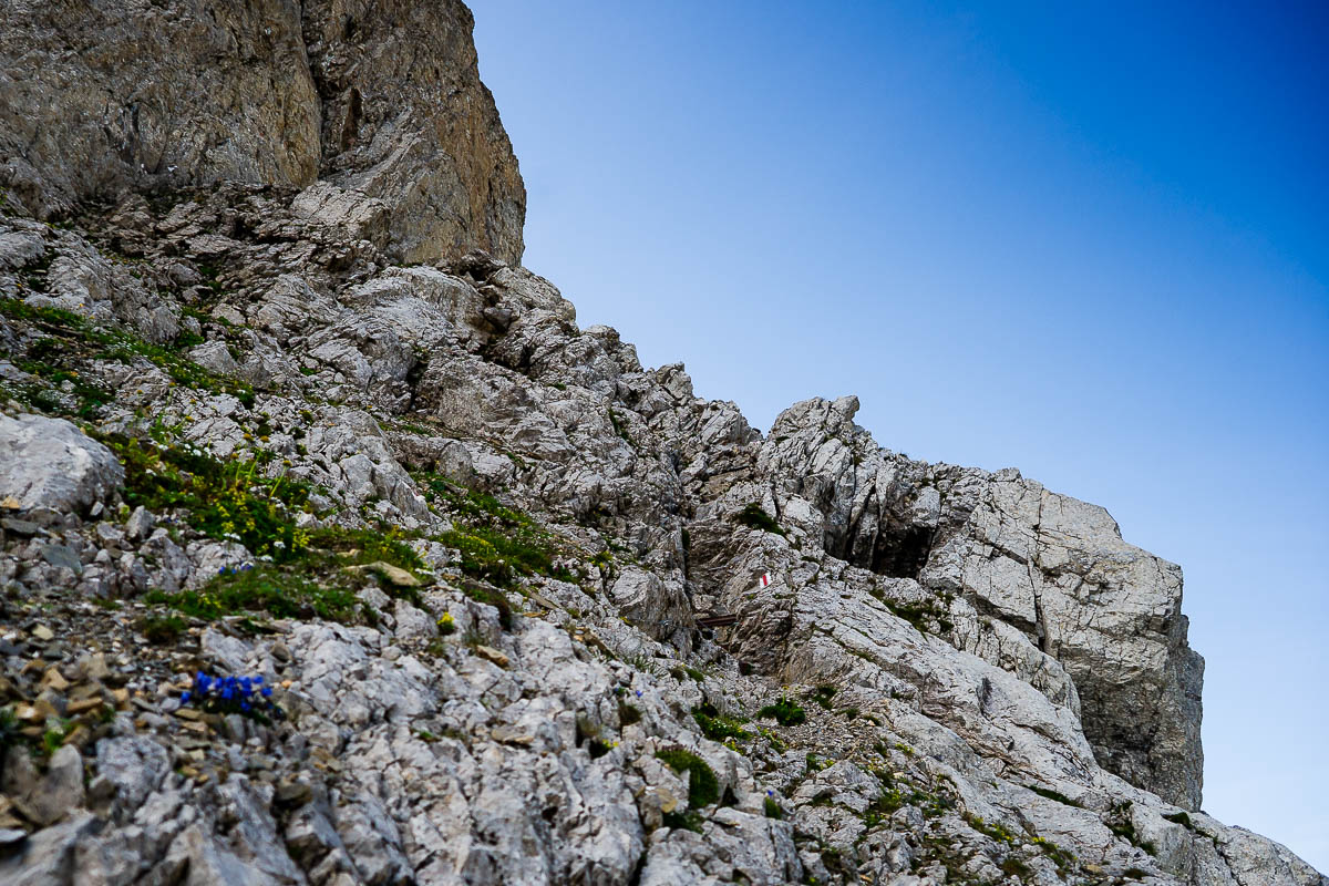 Säntis - Lisengrat - Altmann - Wildhaus